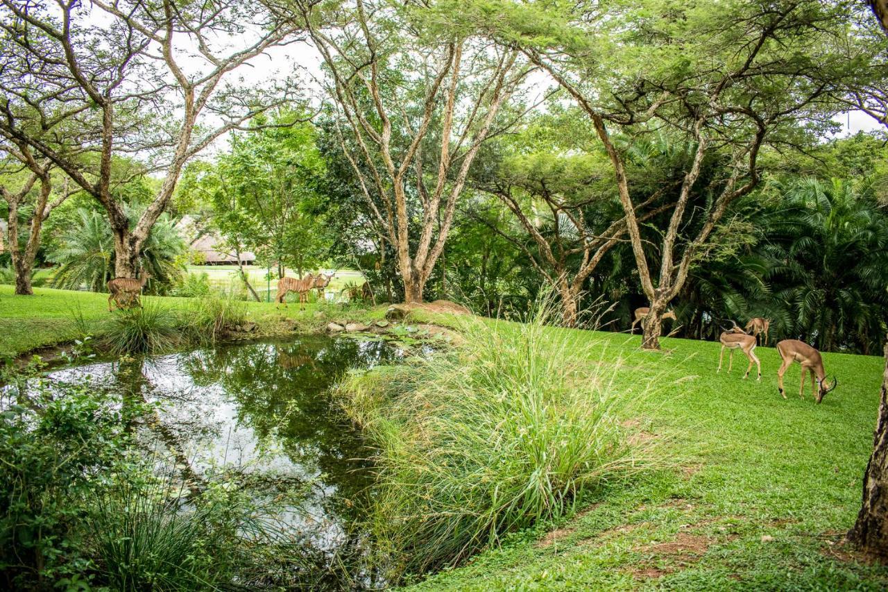 האזיביו Inyamatane Luxury Lodge מראה חיצוני תמונה